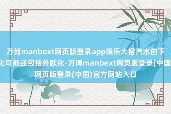 万博manbext网页版登录app娱乐大窑汽水的下一步除了寰宇化可能还包括外欧化-万博manbext网页版登录(中国)官方网站入口