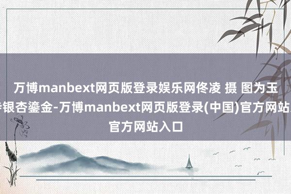 万博manbext网页版登录娱乐网佟凌 摄 图为玉泉寺银杏鎏金-万博manbext网页版登录(中国)官方网站入口