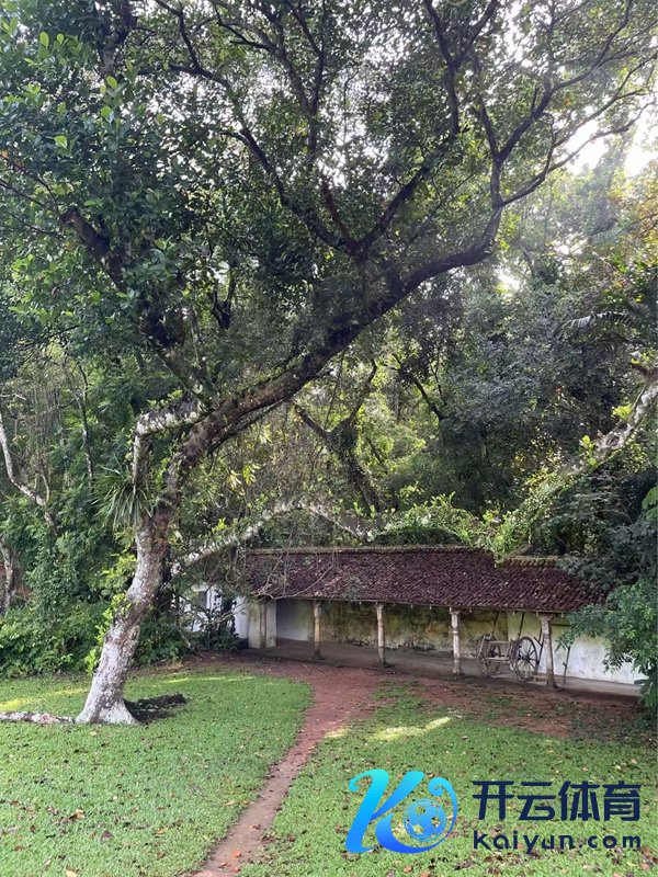 卢努甘卡的主角是绿色植物，建筑和艺术作品点缀其间，体现出悠远意蕴。图中的感慨桥凉廊内绘有详尽壁画
