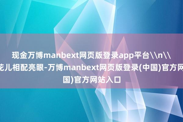 现金万博manbext网页版登录app平台\n\n各色花儿相配亮眼-万博manbext网页版登录(中国)官方网站入口